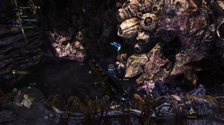 What are the locations and conditions for catching the rare pets?