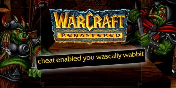 What are the Warcraft II Cheats?