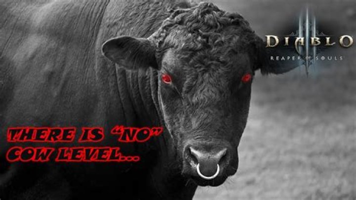 What does it mean 'there is no cow level'?