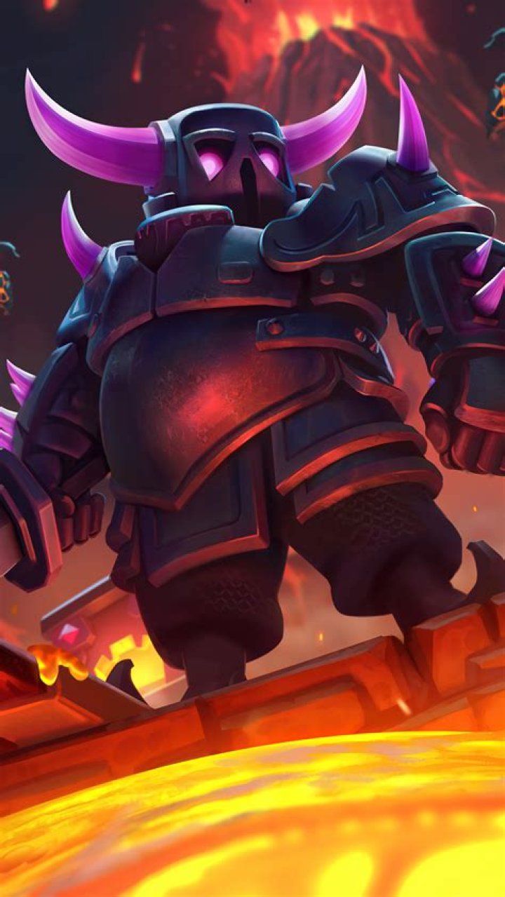 What does P.E.K.K.A stand for?