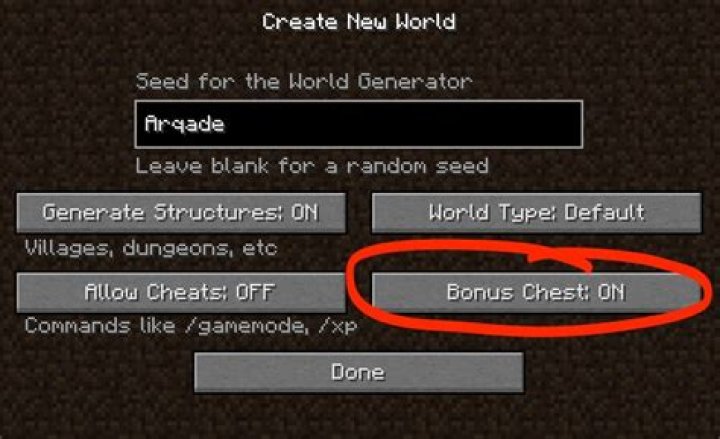 What does the "Bonus Chest" option in the New World options do?