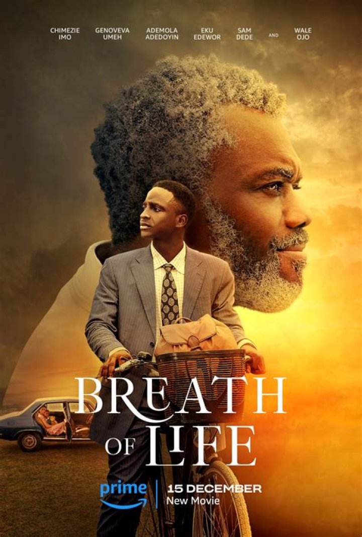 What does the Breath of Life item do?
