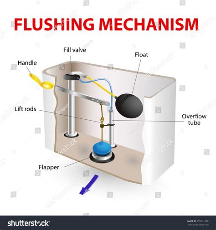 What does the "Flush" item do?