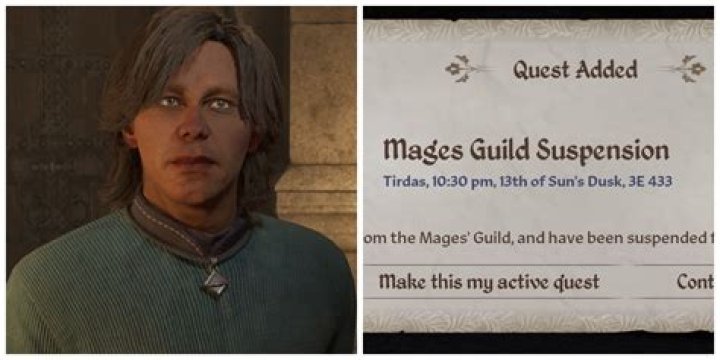 What exactly happened to get the Mages Guild Disbanded?