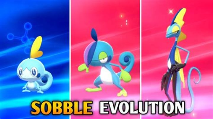 What is a good Pokemon that has the ability Drizzle?