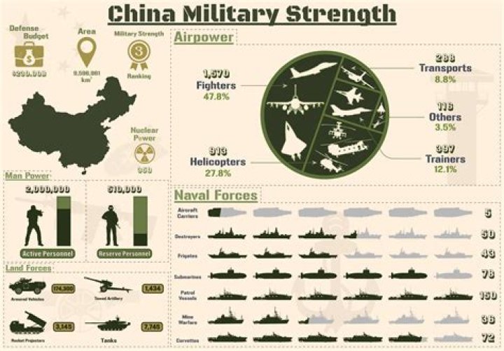 What is the difference between "Total Military Strength" and "Effective Military Strength"?