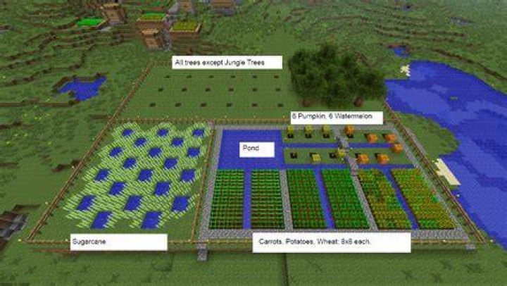 What is the most efficient way to farm Carpenterbugs?