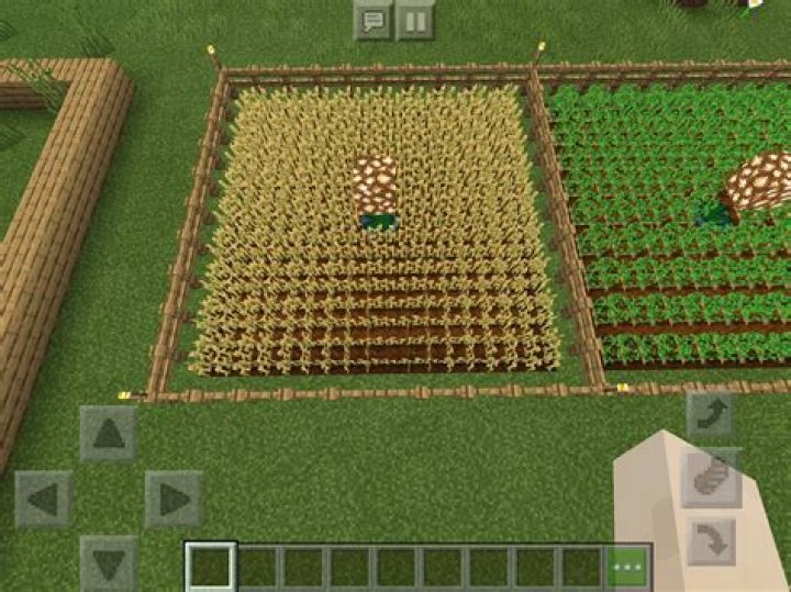 What is the optimum pattern to place crops in Minecraft?