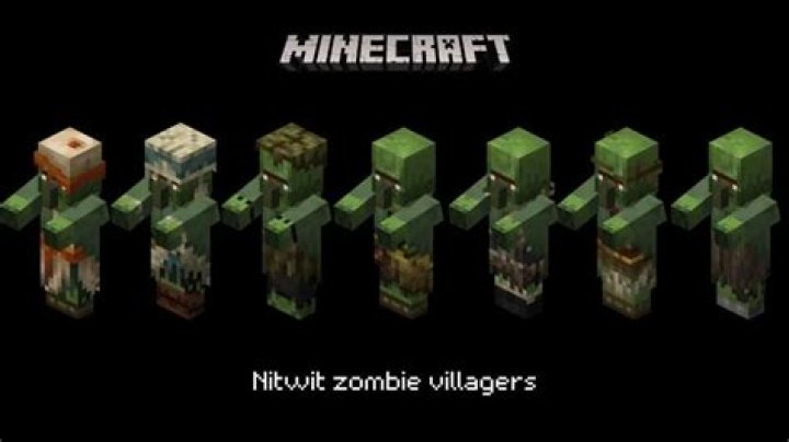 What is the probability that a villager is a nitwit (green coat)?