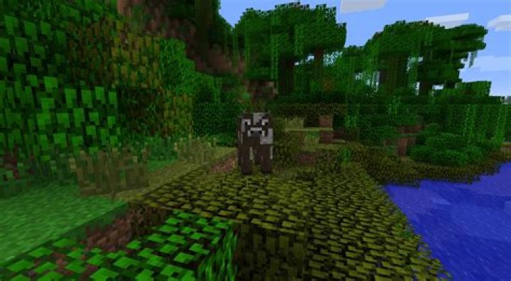 What is the Purple grass called near swamps in Minecraft