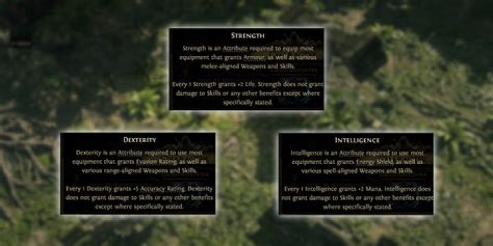 What is the purpose of Strength, Intelligence and Dexterity in Path of Exile?