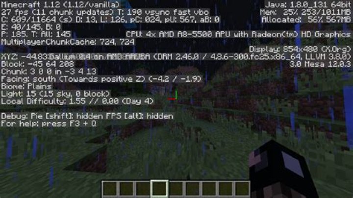 When I press F3 something covers the coordinates