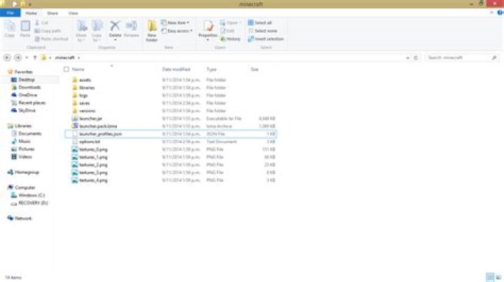 Where's the launching icon in the .minecraft folder?