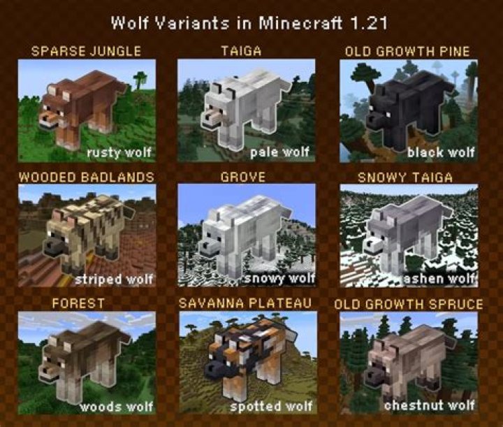 Where can I find wolves?