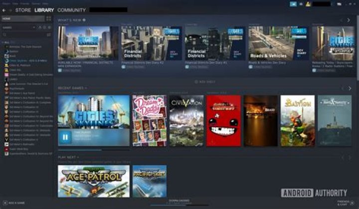 Where can I see my perfect games in steam?