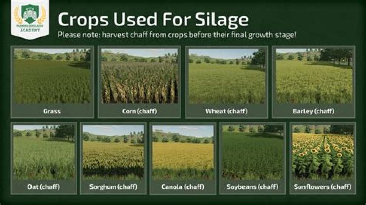 Where can I store Grass?