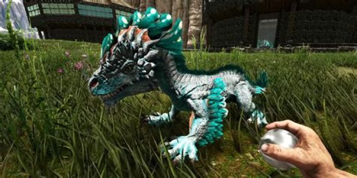 Where do I find nameless items?