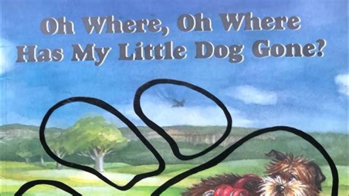Where, oh where did my Dogmeat go?