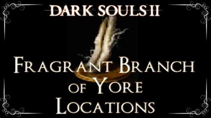 Where should I use my Fragrant Branch of Yore?