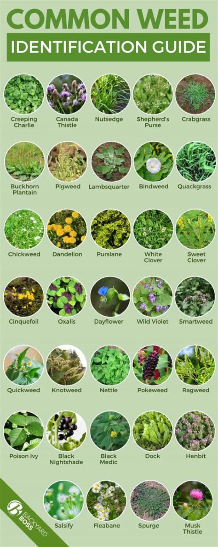Which plants are of type "weed" in the Garden?