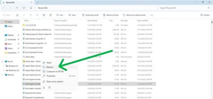 Why can I still see my tmodloader files even though I deleted them with check integrity