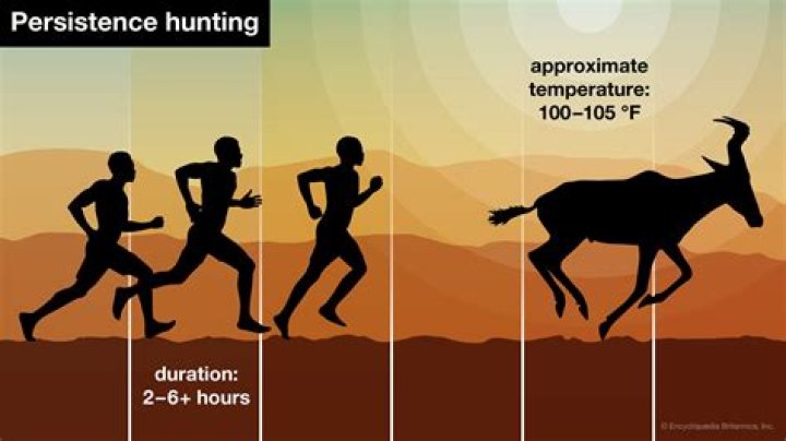 Why does Hunting make sense?