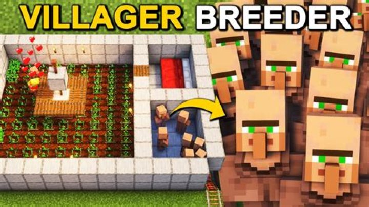 Why is my Villager Breeder not working. Minecraft 1.16.4