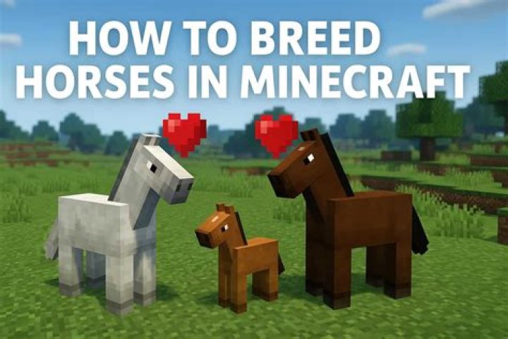 Why won't my minecraft horses breed?