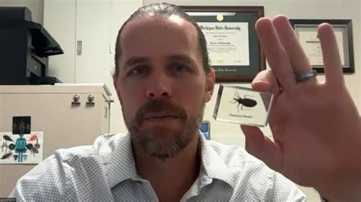 Would this be considered a bug